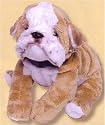 Plush Spike Bulldog 10"