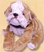 Plush Spike Bulldog 10