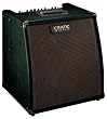 Crate CA120DG Durango Acoustic Guitar Amp - 120 Watts RMS, Automatic Feedback Elimination