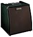 Crate CA120DG Durango Acoustic Guitar Amp - 120 Watts RMS, Automatic Feedback Elimination
