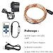 Accmor Indoor/Outdoor Led String Lights - USB Bedroom Copper Decorations for Father's Day - with USB Cable, Remote Controller, UL Certified Power Adapter - 33ft /100 LEDs, Warm White