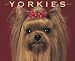 Just Yorkies 2009 Wall Calendar