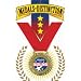 Excellence Award Medal