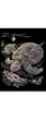Holographic Engraving Sea Turtles