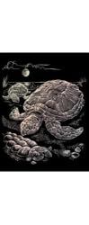 Holographic Engraving Sea Turtles