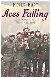 Aces Falling: War Above the Trenches, 1918