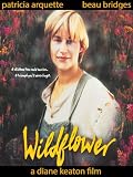 Wildflower