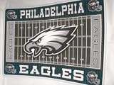 NFL Licensed Philadelphia Eagles Football Logo Placemat