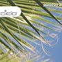 Cielo: Paradizo 2