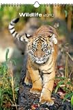 Produkt-Bild: Wildlife Kalender 2010