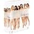 L�̐��E DVD�R���N�^�[�YBOX