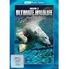BBC Motion Gallery: Ultimate Wildlife, Vol. 2: B�ren & Hunde