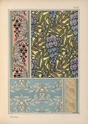 Eug&egrave;ne Samuel Grasset, Glycine (Wisteria)