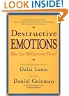 Destructive Emotions: A Scientific Dialogue with the Dalai Lama