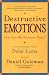 Image of Destructive Emotions: A Scientific Dialogue with the Dalai Lama