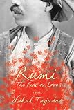 Rumi : the fire of love