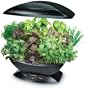 AeroGarden Classic 7-Pod with Gourmet Herb Seed Kit
