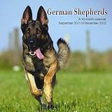 German Shepherds 2012 Wall Calendar #DOG26