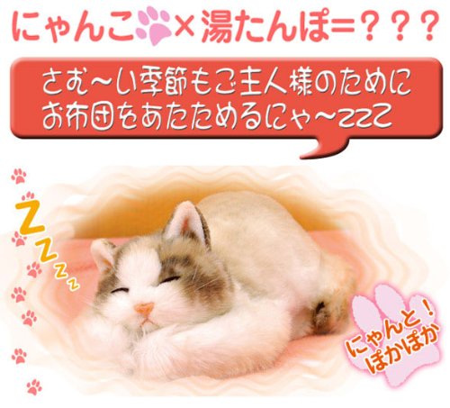 Cover image : 【あんか】猫ゆたんぽ にゃんともあったか湯たんぽ