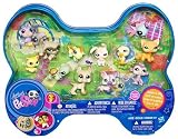 Littlest Pet Shop Exclusive Dog Bone Shaped Tin 12Pack Includes Dragonfly, Raccoon, Great Dane, Turtle More!IMAGE
