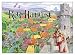 Search : Rio Grande Games Key Harvest