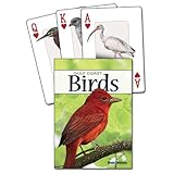 birds of the gulf coast playing cards