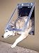 Pet Supplies : Big Dog Door