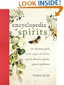 Encyclopedia of Spirits: The Ultimate Guide to the Magic of Saints, Angels, Fairies, Demons, and Ghosts