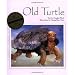 Old Turtle