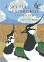 A Sky Full of Starlings