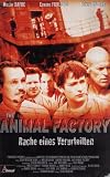 Animal Factory - Rache eines Verurteilten - Willem Dafoe; Edward Furlong; Mickey Rourke