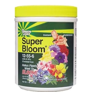 Green Light Organic Super Bloom - 1 lb 97001 by 