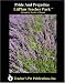 Book Pride and Prejudice : A Unit Plan (Litplans on CD)
