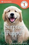 DK Readers L1: Surprise Puppy