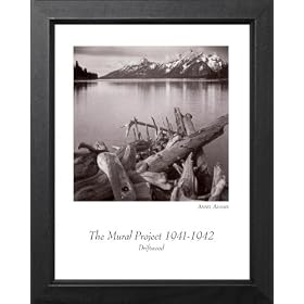 Ansel Adams Driftwood B W Picture Framed Art Print by Framed Art