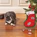 Six Catnip Mouse Cat Toys in a Holiday Stocking