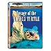 Nature: Voyage of the Lonely Turtle