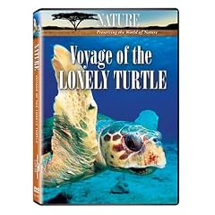 Nature: Voyage of the Lonely Turtle by 