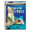 Nature: Voyage of the Lonely Turtle