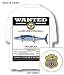 SLAM GEAR WAHOO WANTED - POCKET T SHIRT WHITE