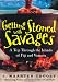 Getting Stoned with Savages: A Trip Through the Islands of Fiji and Vanuatu width=
