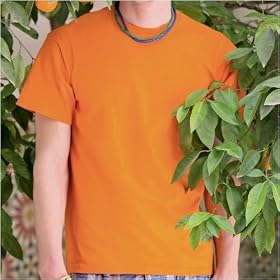 Fruit of the Loom Super Premium T-Shirt (20 Colours)