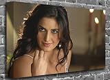 Karisma Kapoor Bollywood Canvas Art Canvas Print Picture print Size: (50