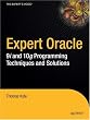 Image of Expert Oracle Database Architecture: 9i and 10g Programming Techniques and Solutions