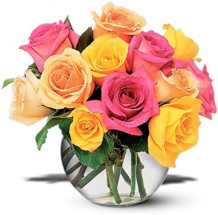 Flower Delivery - 12 Mixed Color Roses From Floral Assist - Flowers Online Done Right - Hand Delivered - Never Drop Shipped