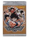 Dragon Ball Z Foil Sticker Pak (part-2)
