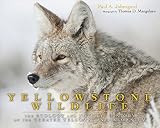 Yellowstone wildlife : the ecology & natural history of the Greater Yellowstone Ecosystem