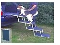 4 Step Dog Ramp (Brand New)