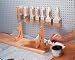 Tools: Small picture for Woodstock International G3582 50 pc. Chip Brush Set