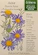 Prairie Aster Botanic Gardens Series Seeds 120 Seeds